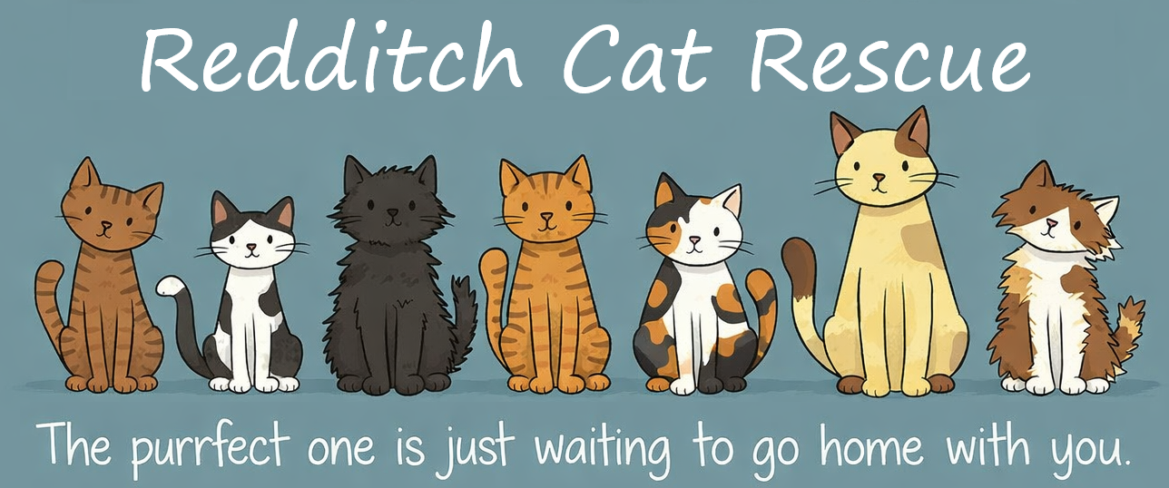 Redditch Cat Rescue
